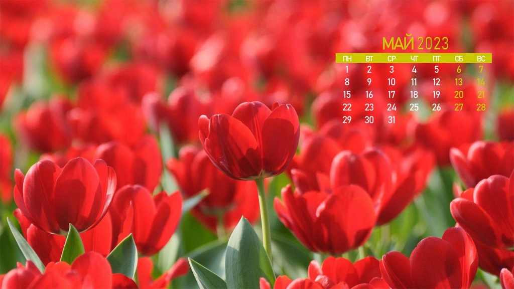 oboi-calendar-mai-2023.jpg