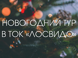 НОВОГОДНИЙ ТУР В ЗАГОРОДНОМ КОМПЛЕКСЕ "ЛОСВИДО"